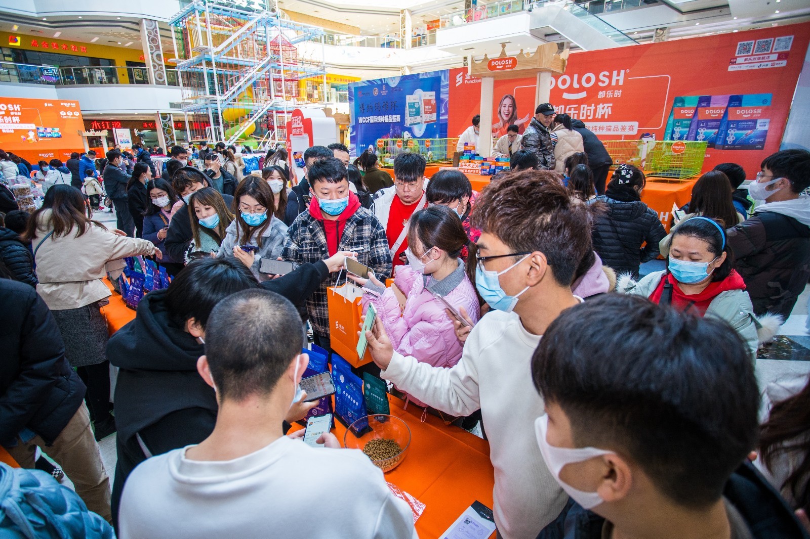 包含观众参与感：现场投票与互动环节的词条