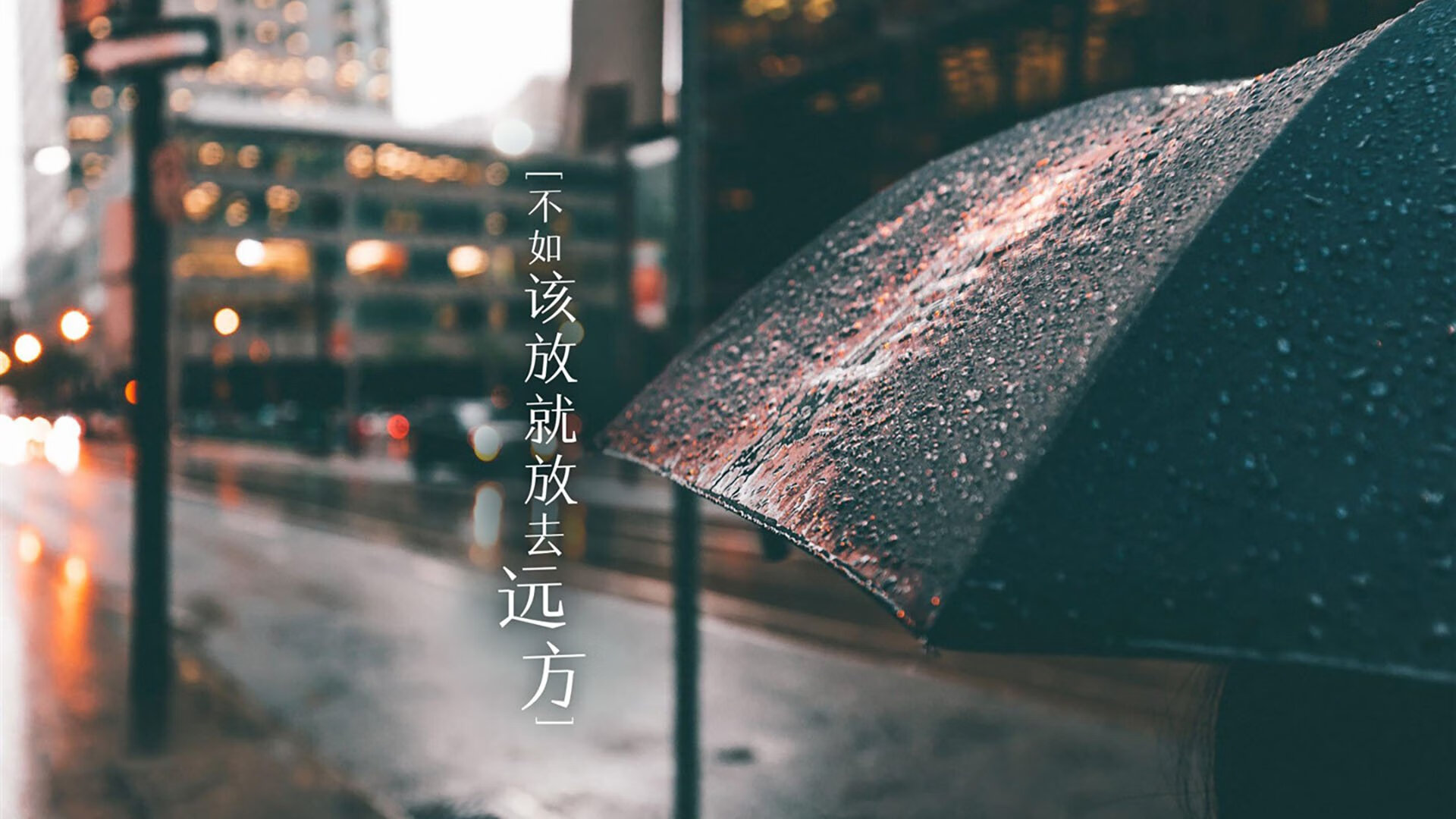WRC冠军争夺战：车队拼搏只为夺冠，wrc2019冠军车队