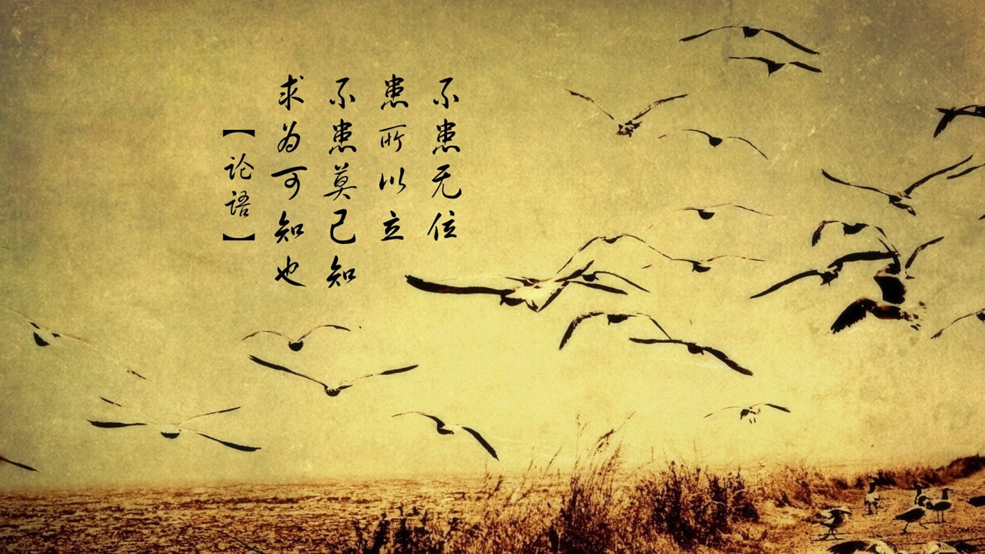 “AI战术分析平台助力球队提前布局，实时监测技术深度使用背后的挑战与突破”