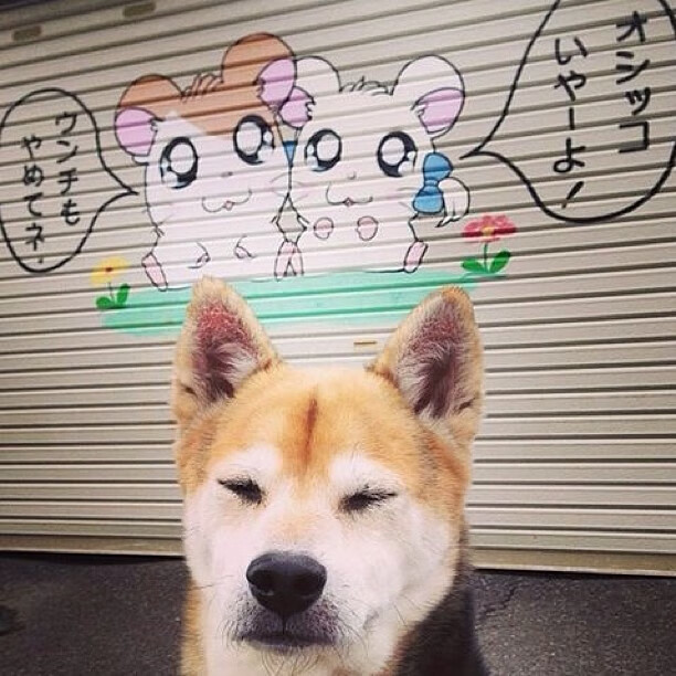 开云官网在线-【泰蒂斯重返赛场】教士明星带领队伍迎来重要胜利，tts泰蒂徐