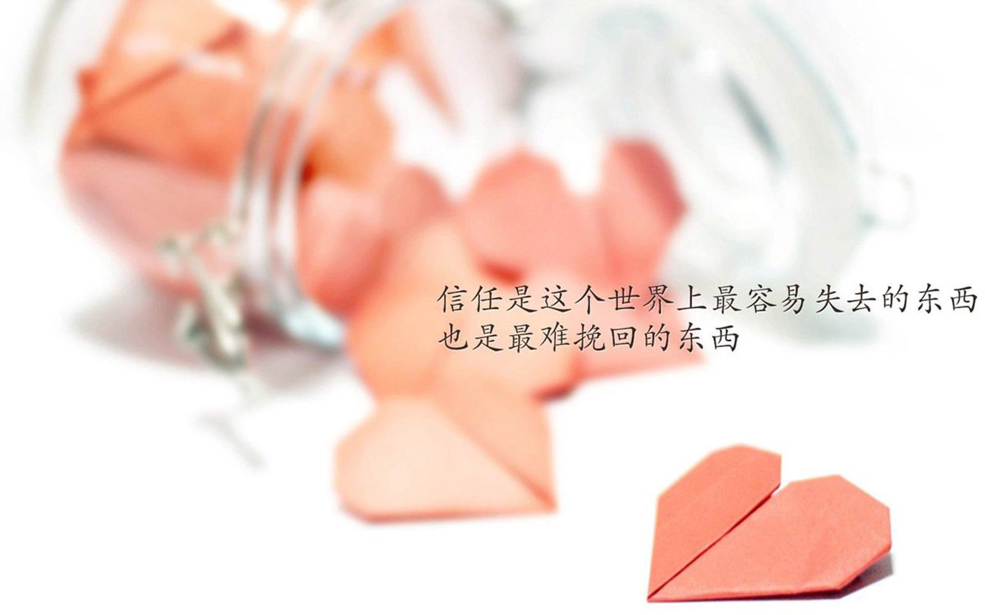 中国足球年度高光球员表现总结，足球高光时刻