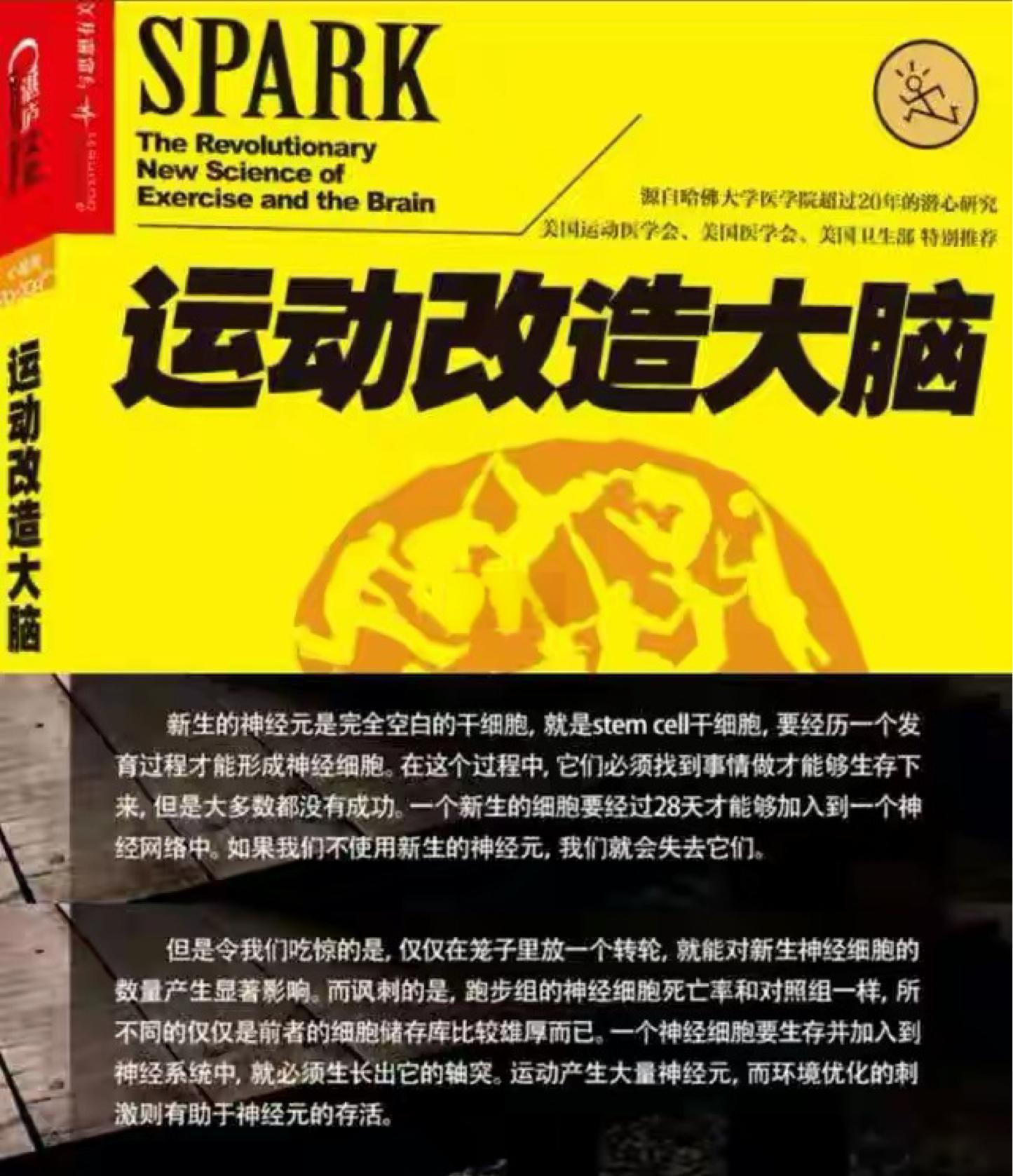 开云体育:职业与爱好：运动员如何平衡工作与乐趣的简单介绍